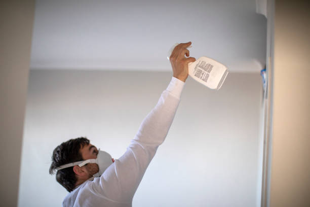 Best Post-Flood Mold Remediation in Cataula, GA